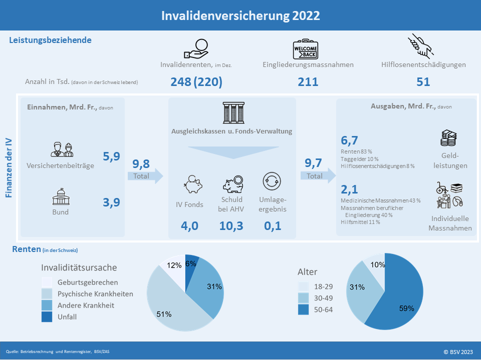 Infografik IV 2020 DE